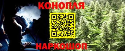 Альфа ПВП Обь