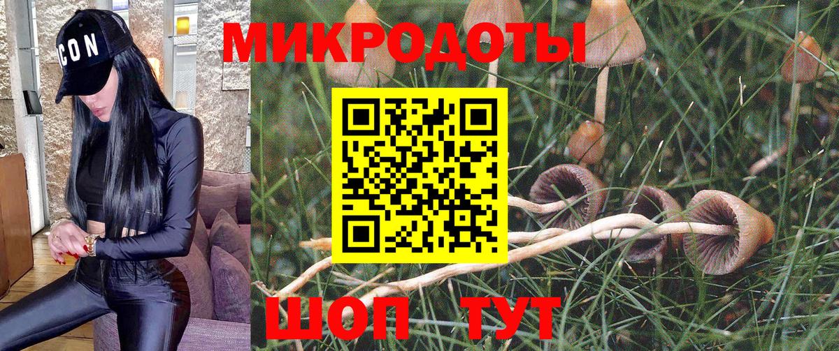 Псилоцибиновые грибы Psilocybine cubensis Стрежевой