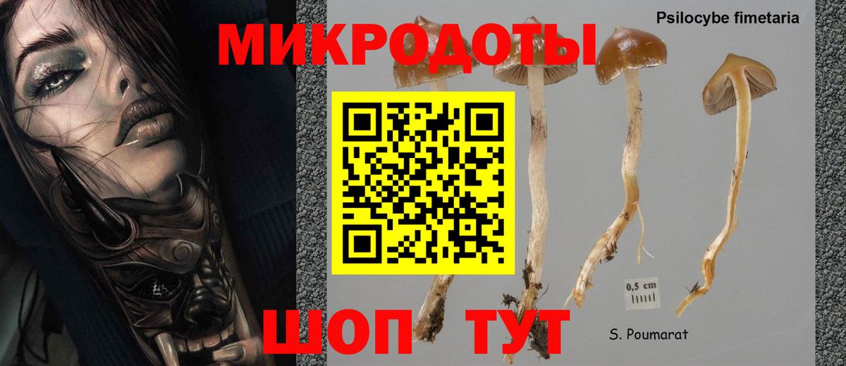 Галлюциногенные грибы прущие грибы  Вход с VPN  Стрежевой 